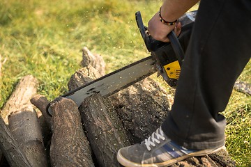 Image showing Gasoline powered professional chainsaw