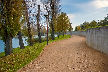 Image showing Green lawn and trees at the park