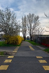 Image showing Small Pathway going trough the forest