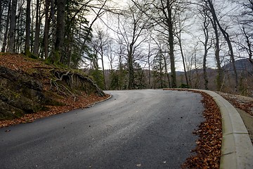 Image showing Road in autumn forest landscape