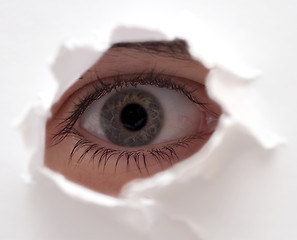 Image showing eye