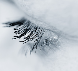 Image showing Eyelashes