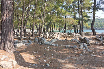 Image showing Phaselis