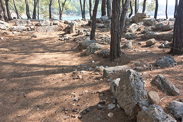 Image showing Phaselis