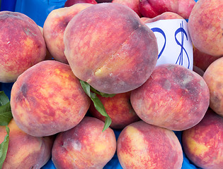 Image showing peaches 