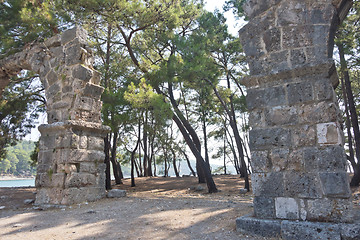 Image showing Phaselis