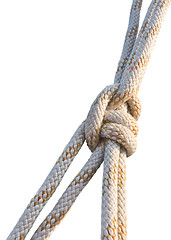 Image showing rope with knot