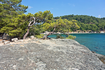 Image showing Phaselis