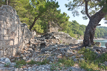 Image showing Phaselis