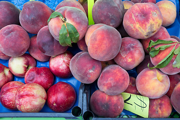 Image showing peaches