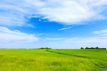 Image showing summer landscape