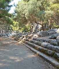 Image showing Ancient Phaselis city