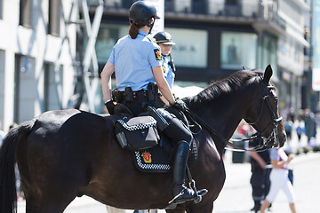 Image showing Police Horse