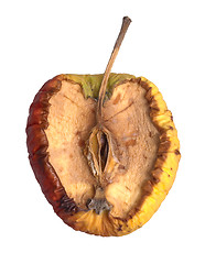 Image showing rotten apple