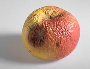 Image showing rotten apple