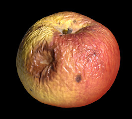 Image showing rotten apple