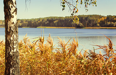 Image showing The autumn wood on the bank of the big beautiful lake