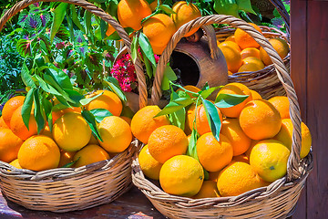 Image showing Ripe large oranges in a wicker basket