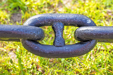 Image showing anchor chain in green grass