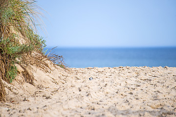 Image showing beach of Baltic Sea, Poland