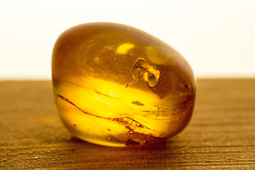 Image showing Amber with embedded insect