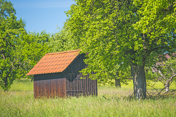 Image showing Barn in a meadow