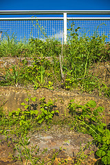 Image showing wall of nature stones