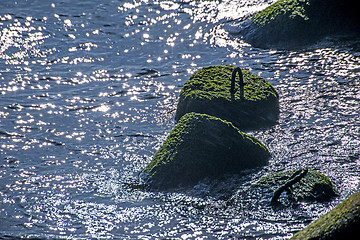 Image showing wave-breaker during sunrise