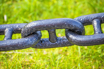 Image showing anchor chain in green grass