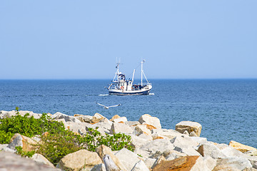 Image showing Baltic sea with trawler and seagull