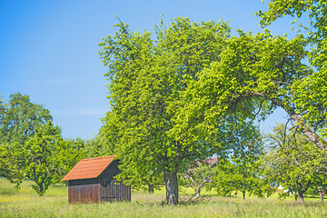 Image showing Barn in a meadow