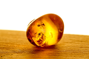 Image showing Amber with embedded insect