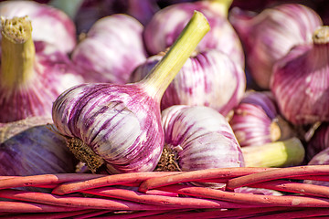 Image showing red garlic on a street sale in France