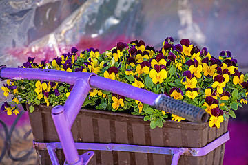 Image showing bicycle with flowers
