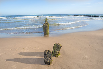 Image showing beach of the Baltic Sea with old wooden wavebreakers