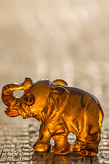 Image showing amber, elephant