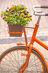 Image showing bicycle with flowers