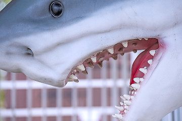 Image showing Shark, model of a head