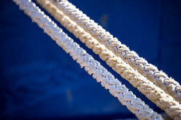 Image showing Mooring line of a trawler