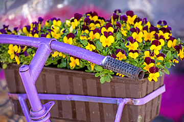 Image showing bicycle with flowers