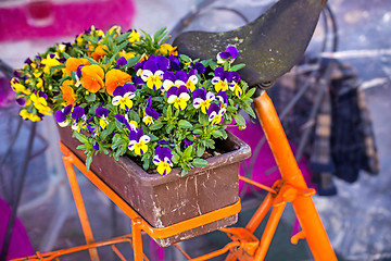 Image showing bicycle with flowers