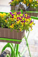 Image showing bicycle with flowers