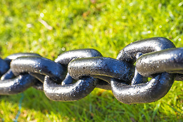 Image showing anchor chain in green grass