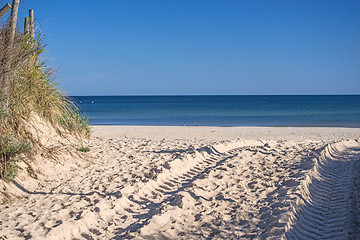 Image showing Beach with tracks