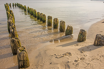 Image showing Groin in the Baltic Sea 