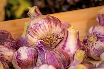 Image showing red garlic on a street sale in France