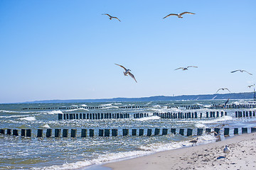 Image showing Groins in the Baltic Sea with gulls