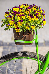 Image showing bicycle with flowers