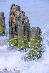 Image showing Groins in the Baltic Sea 