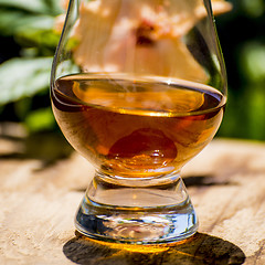 Image showing Whisky with sun shadow